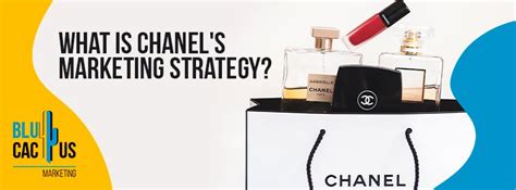 chanel crm strategy|Chanel brand strategy.